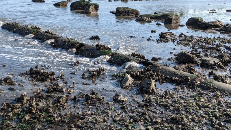 Barbara Pine Memorial Beach - Guilford, CT