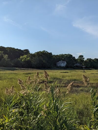 Barbara Pine Memorial Beach - Guilford, CT