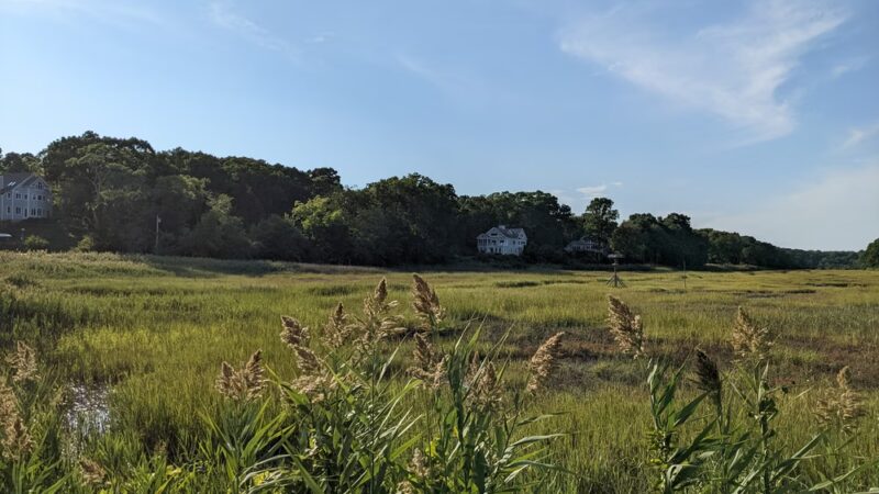 Barbara Pine Memorial Beach - Guilford, CT