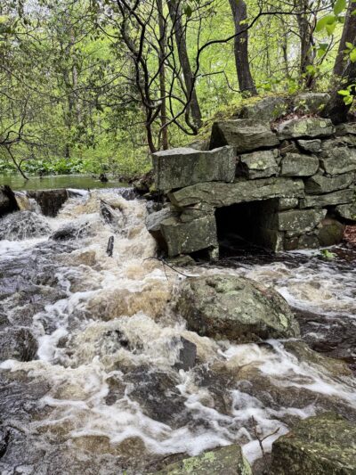 East River Preserve - Guilford, CT