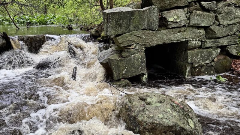 East River Preserve - Guilford, CT