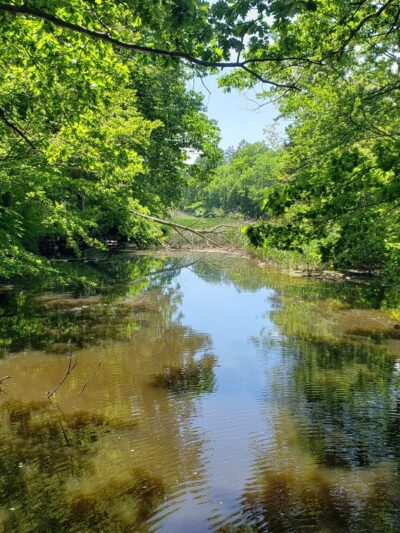East River Preserve - Guilford, CT