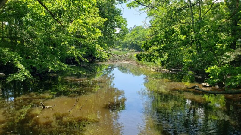 East River Preserve - Guilford, CT