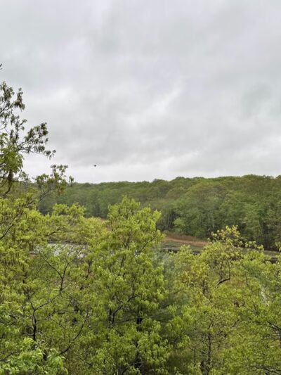 East River Preserve - Guilford, CT