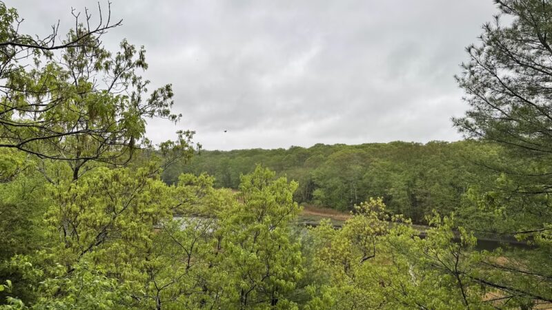 East River Preserve - Guilford, CT