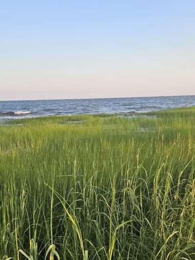 Grass Island - Guilford, CT