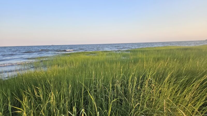 Grass Island - Guilford, CT