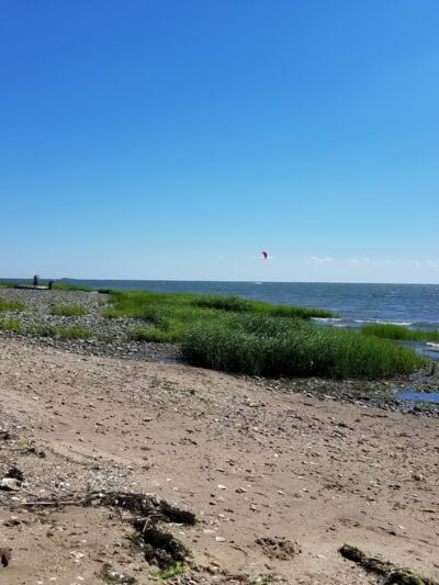 Grass Island - Guilford, CT