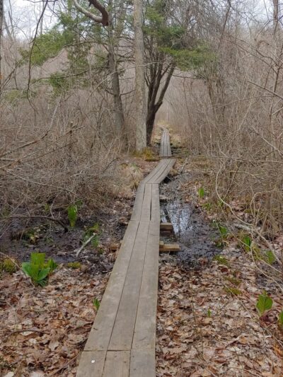 Peddlers Park - Guilford, CT