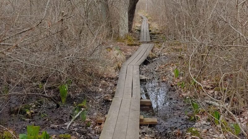 Peddlers Park - Guilford, CT