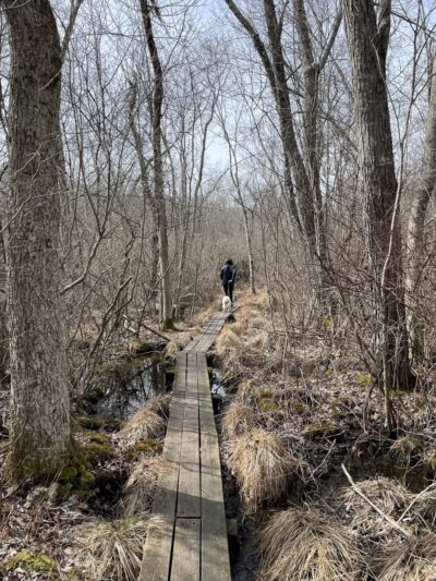 Peddlers Park - Guilford, CT