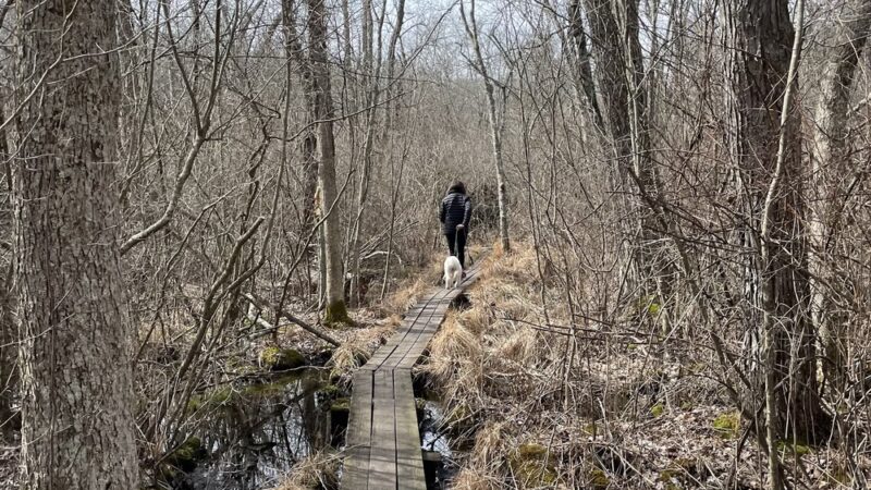 Peddlers Park - Guilford, CT