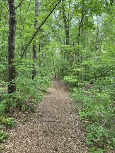 Bittner Park - Guilford, CT