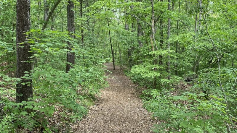 Bittner Park - Guilford, CT