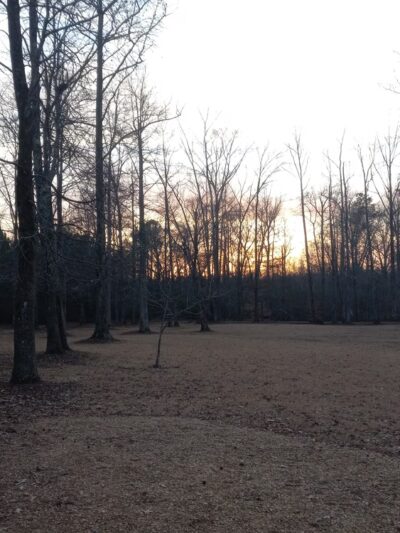 Twin Oaks Park - Guin, AL