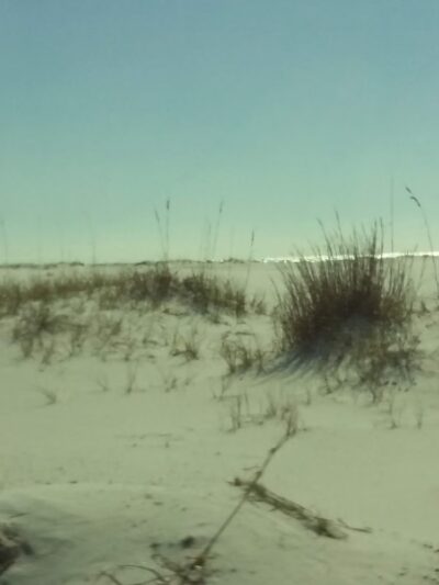 Hodges Park - Gulf Breeze, FL