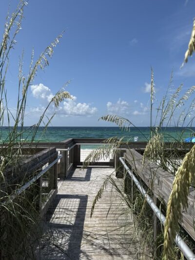 Pensacola Dog Beach West - Gulf Breeze, FL