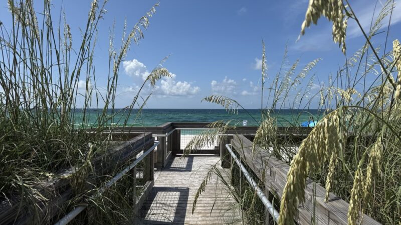 Pensacola Dog Beach West - Gulf Breeze, FL