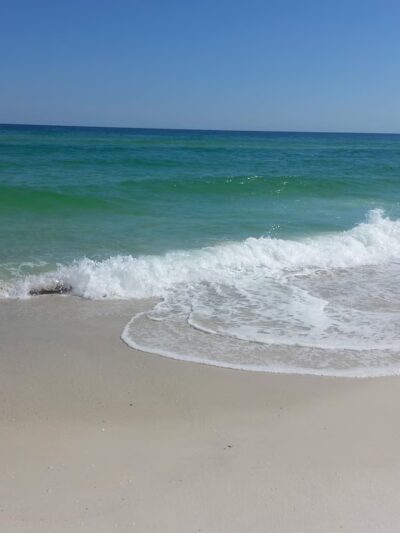 Pensacola Dog Beach West - Gulf Breeze, FL