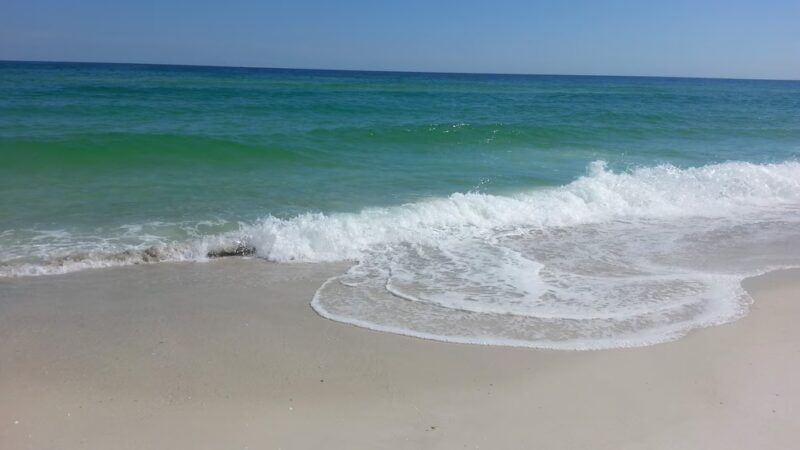 Pensacola Dog Beach West - Gulf Breeze, FL