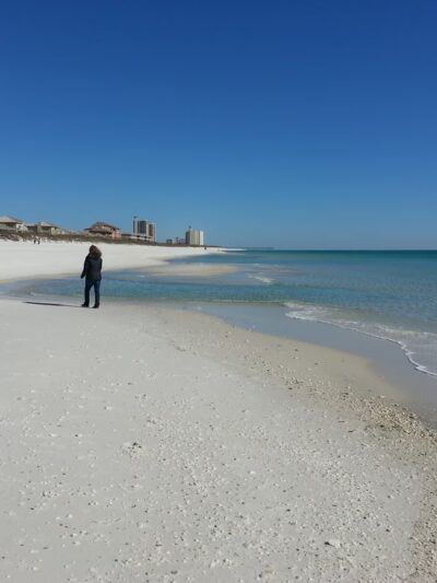 Pensacola Dog Beach West - Gulf Breeze, FL