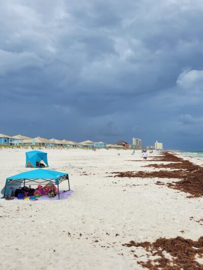 Pensacola Dog Beach West - Gulf Breeze, FL
