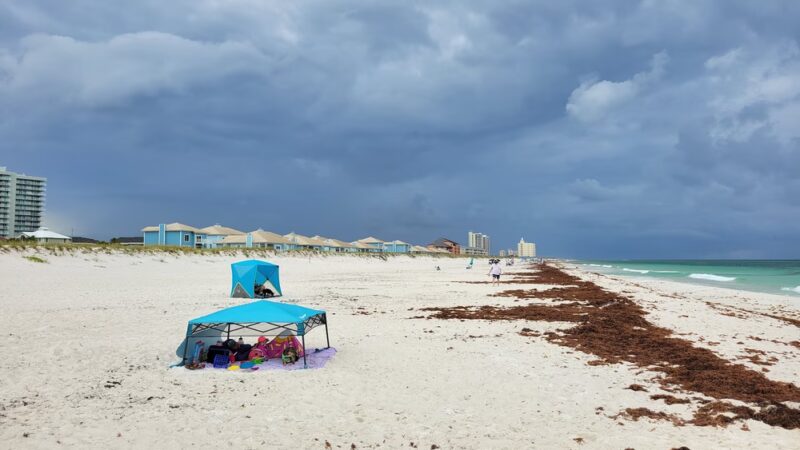 Pensacola Dog Beach West - Gulf Breeze, FL