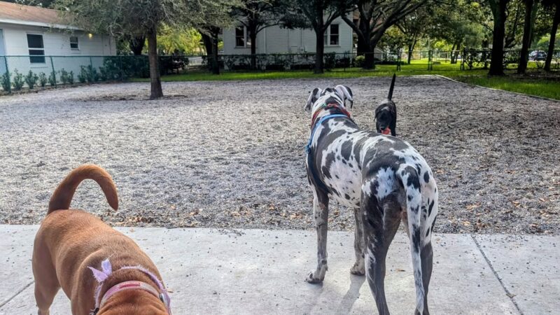 Gulfport Dog Park - Gulfport, FL