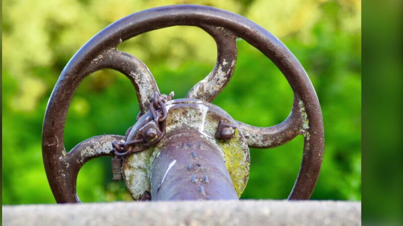 Springbrook State Park - Guthrie Center, IA