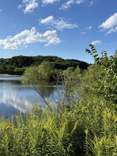 Deer Run Trail - Guys Mills, PA