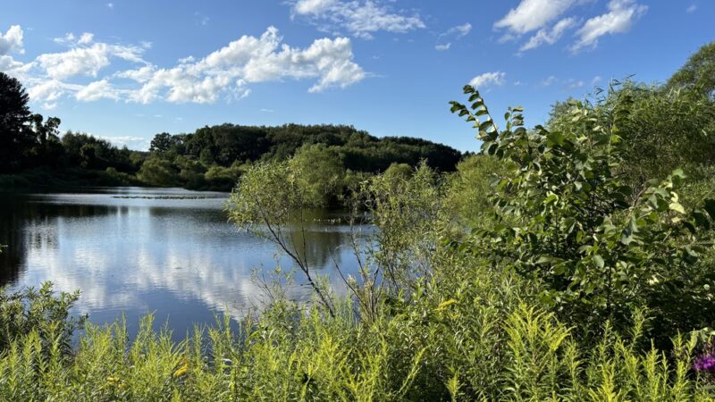 Deer Run Trail - Guys Mills, PA