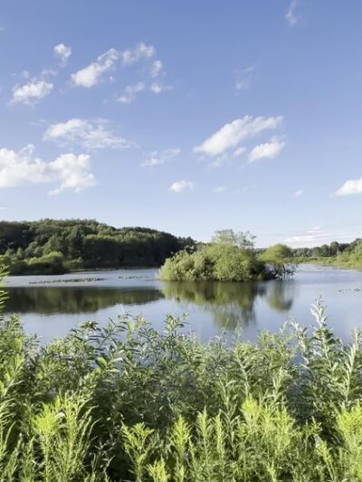 Deer Run Trail - Guys Mills, PA