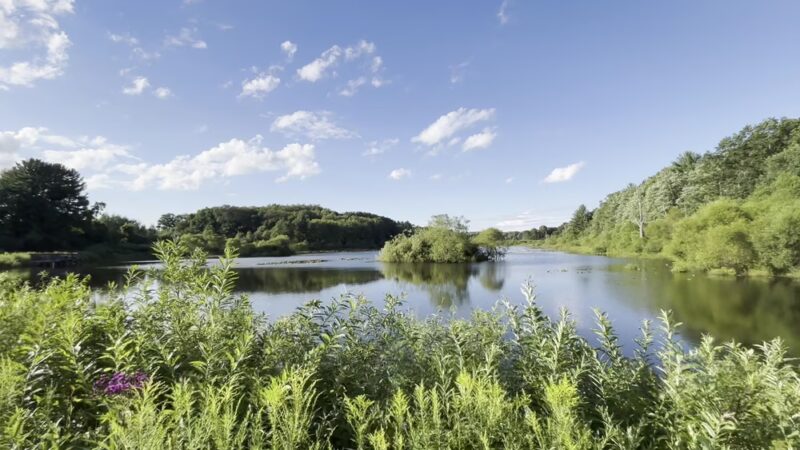 Deer Run Trail - Guys Mills, PA