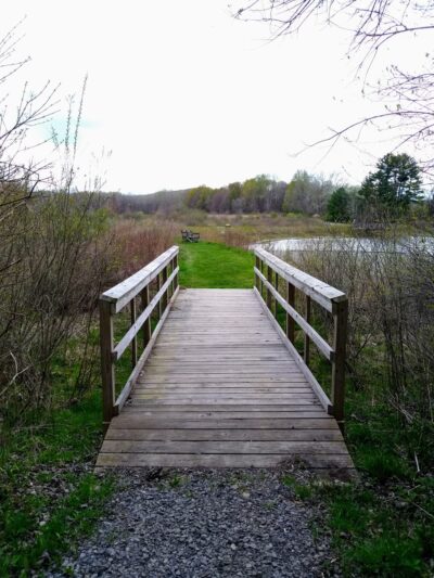 Deer Run Trail - Guys Mills, PA