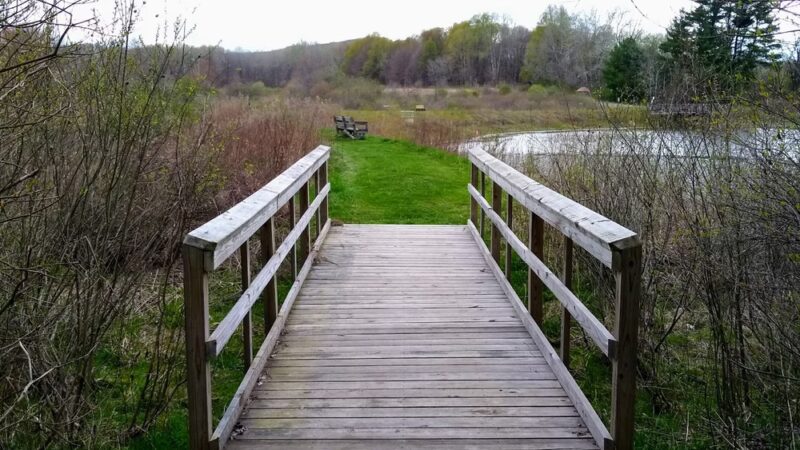 Deer Run Trail - Guys Mills, PA