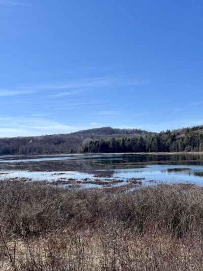 Deer Run Trail - Guys Mills, PA