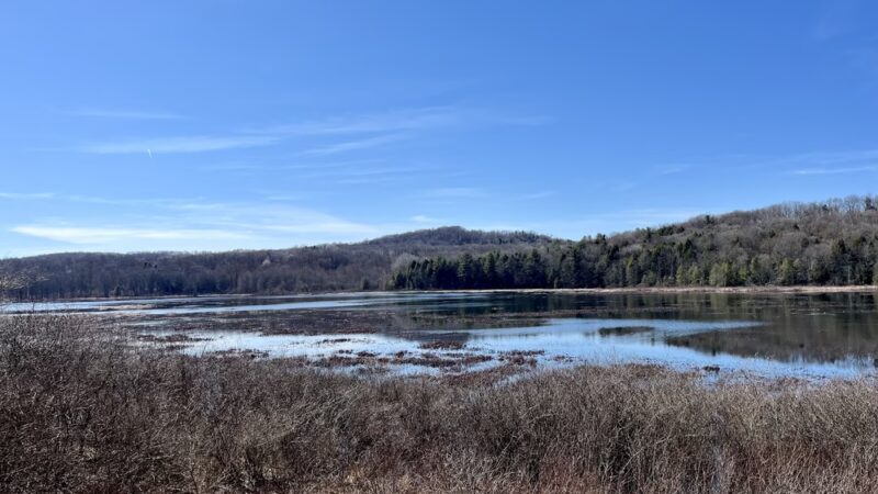 Deer Run Trail - Guys Mills, PA