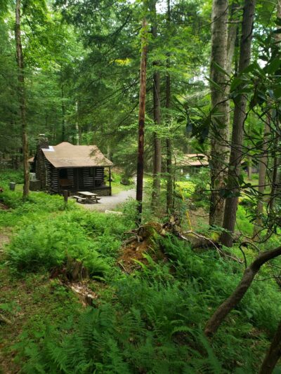 Holly River State Park - Hacker Valley, WV