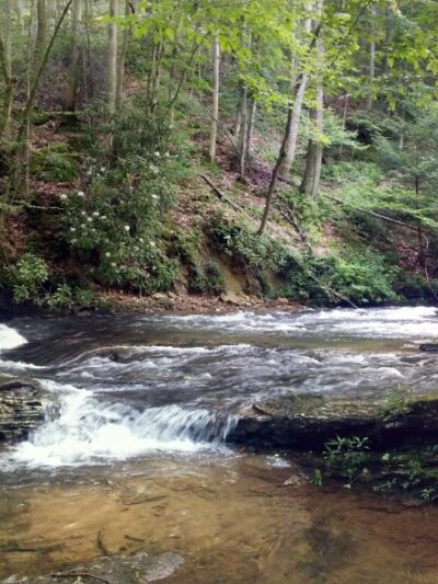 Holly River State Park - Hacker Valley, WV