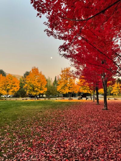 Deerfield Park - Hailey, ID