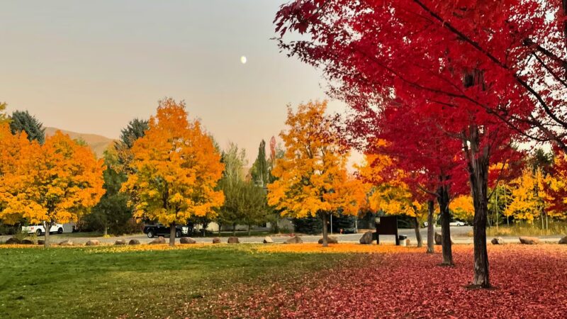 Deerfield Park - Hailey, ID