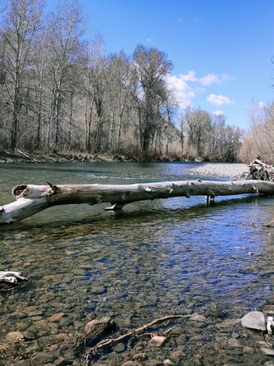 Heagle Park - Hailey, ID