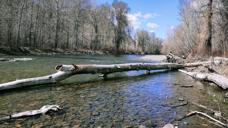 Heagle Park - Hailey, ID