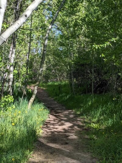 Heagle Park - Hailey, ID