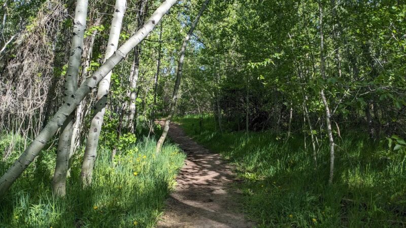 Heagle Park - Hailey, ID