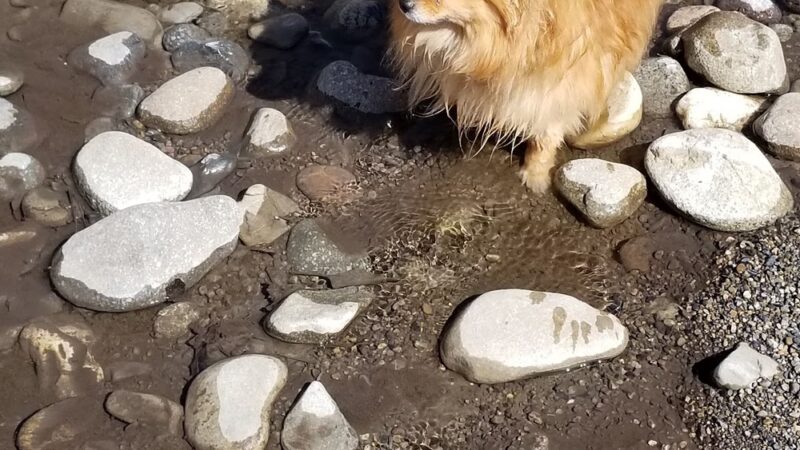 Heagle Park - Hailey, ID