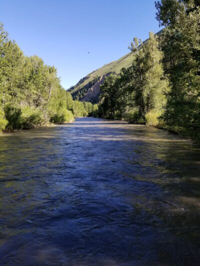 Lions Park - Hailey, ID