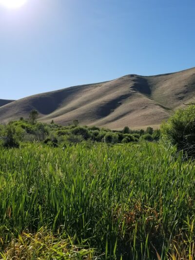 Lions Park - Hailey, ID