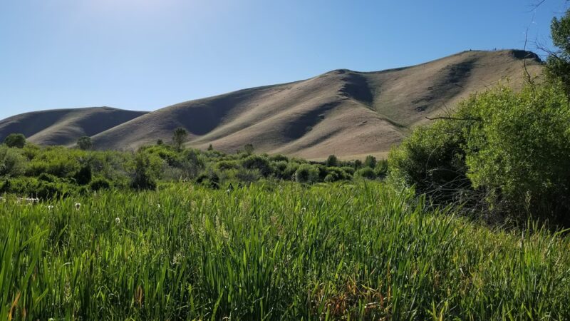 Lions Park - Hailey, ID