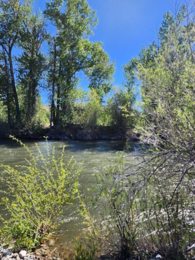 Lions Park - Hailey, ID